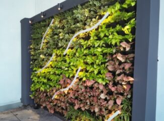 rainsmart-nero-grow-green-wall