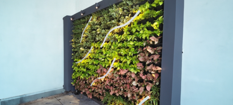 rainsmart-nero-grow-green-wall