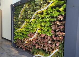 rainsmart-nero-grow-green-wall