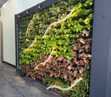 rainsmart-nero-grow-green-wall